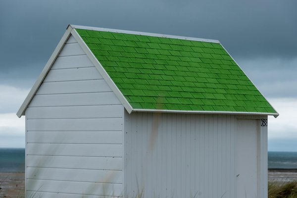 Comment organiser une croisière pour explorer les îles Galápagos : itinéraires et conseils pratiques ?