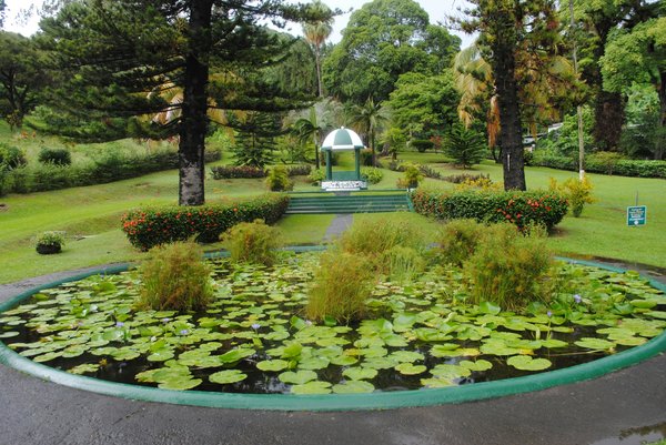 Comment organiser une visite des jardins botaniques en Australie?